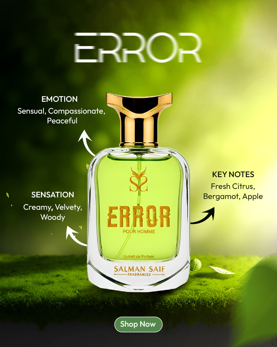Error By Salman Saif - Salman Saif 3