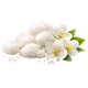 Musk